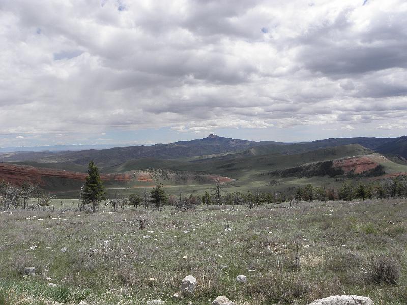 P5310637.JPG