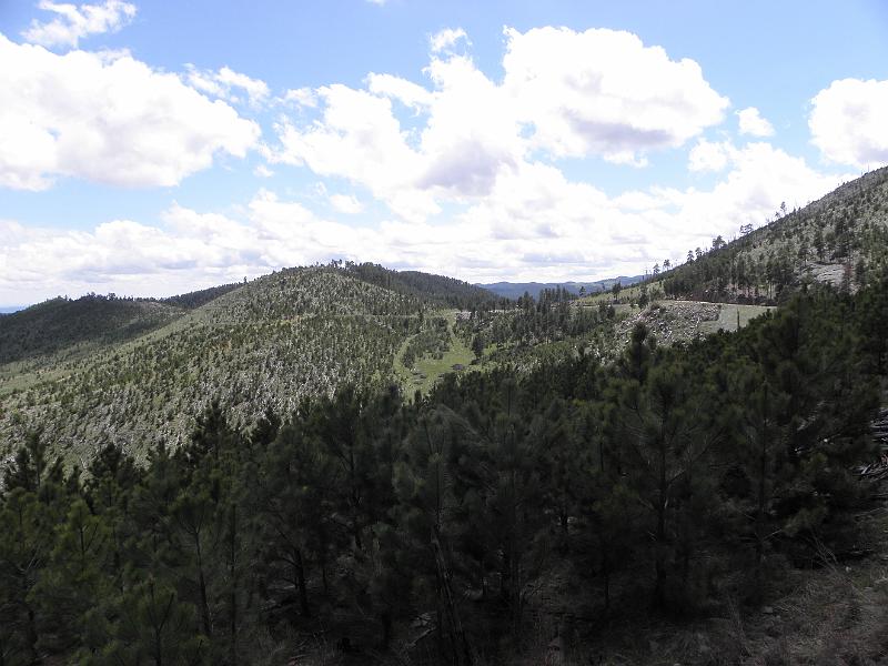 P6020848.JPG