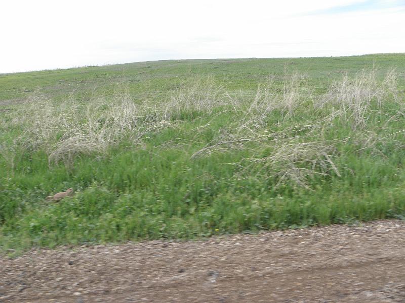 P6030908.JPG