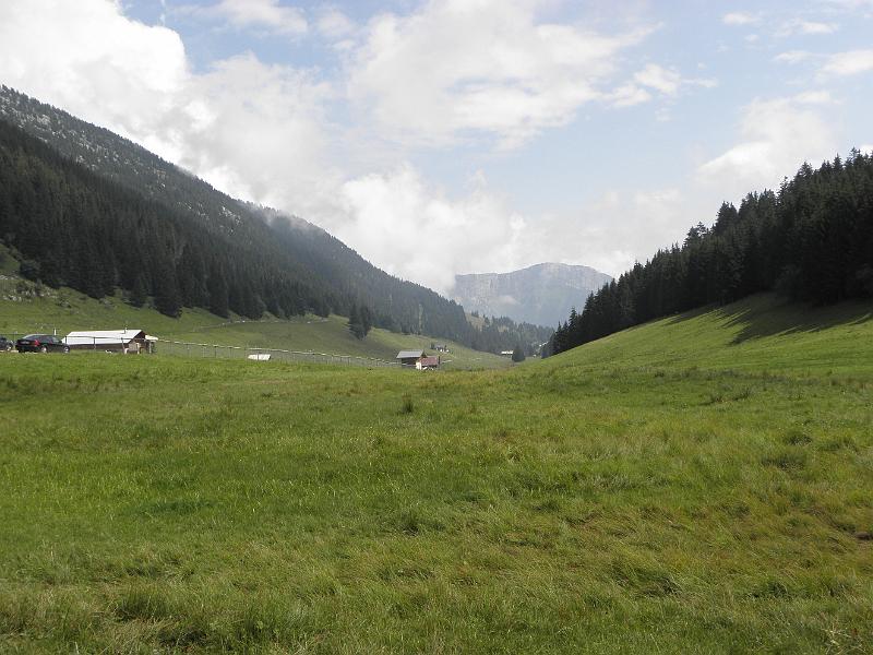 P8030046.JPG