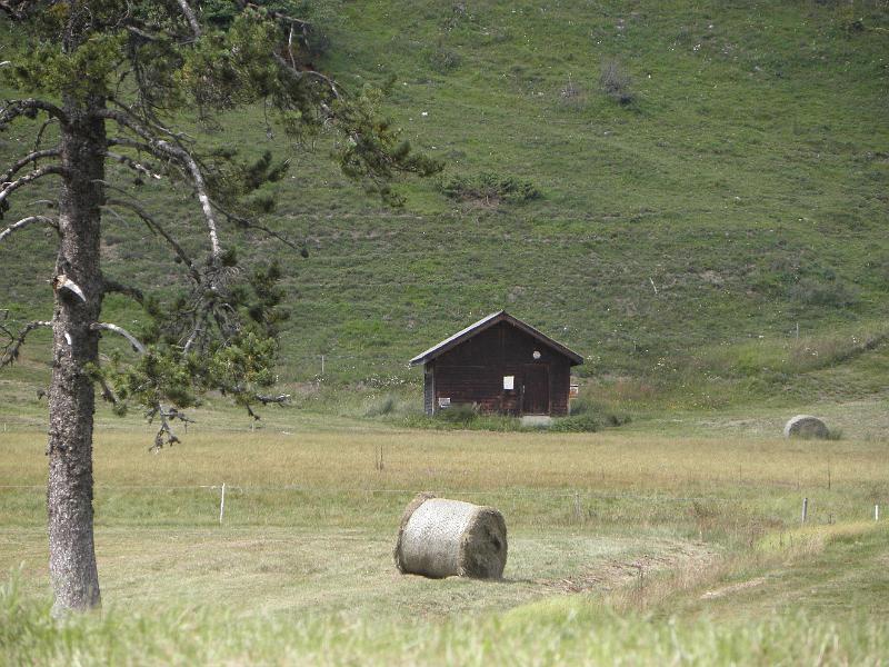 P8030066.JPG