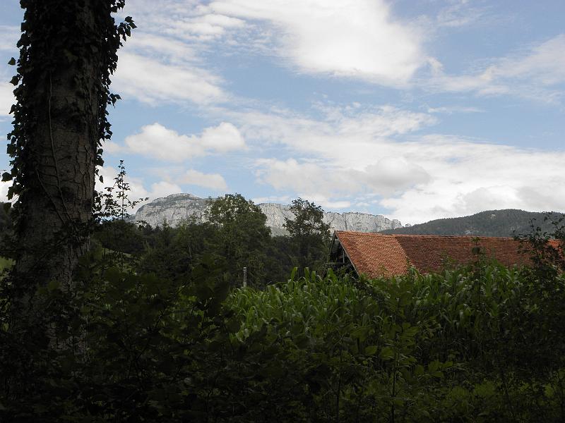P8050109.JPG