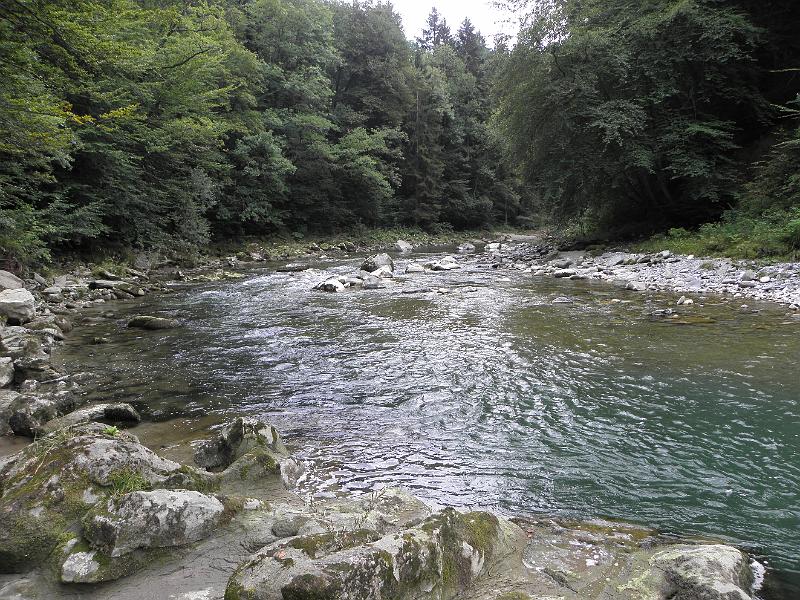 P8050115.JPG