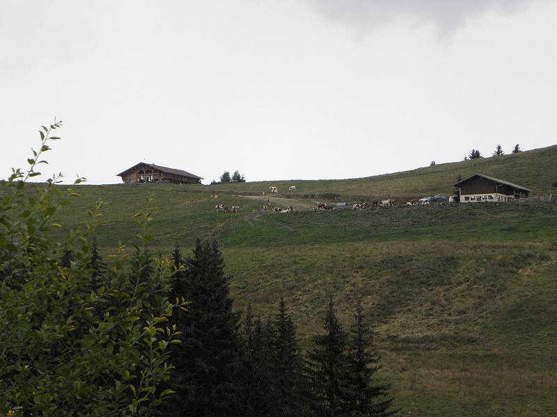 P8060160.JPG