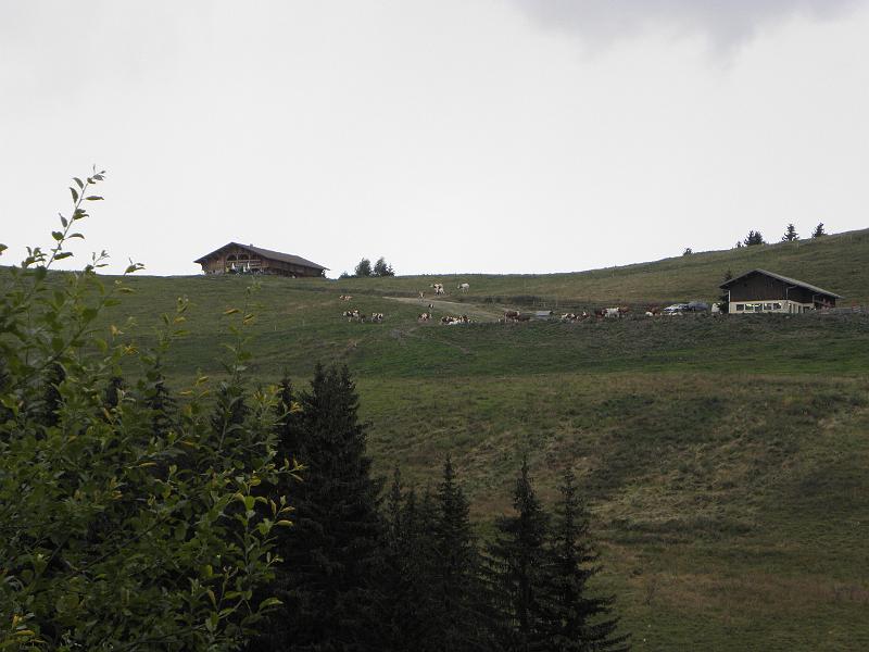 P8060161.JPG