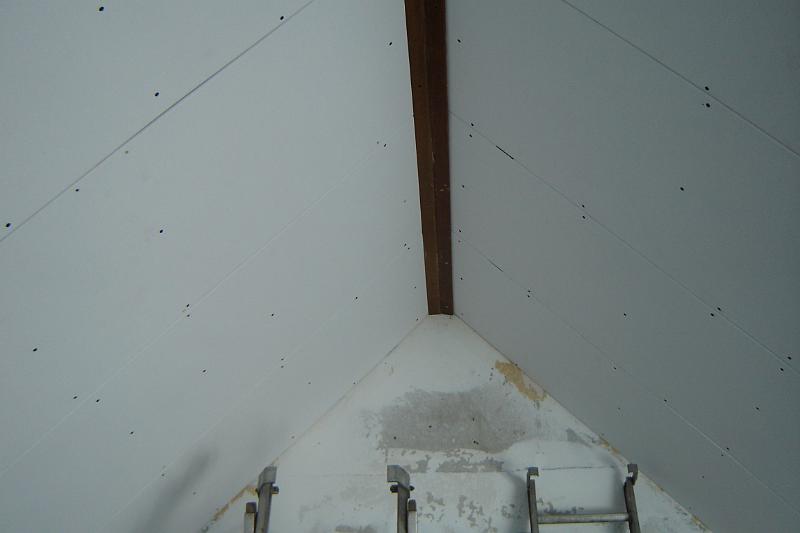 DSC04761.JPG