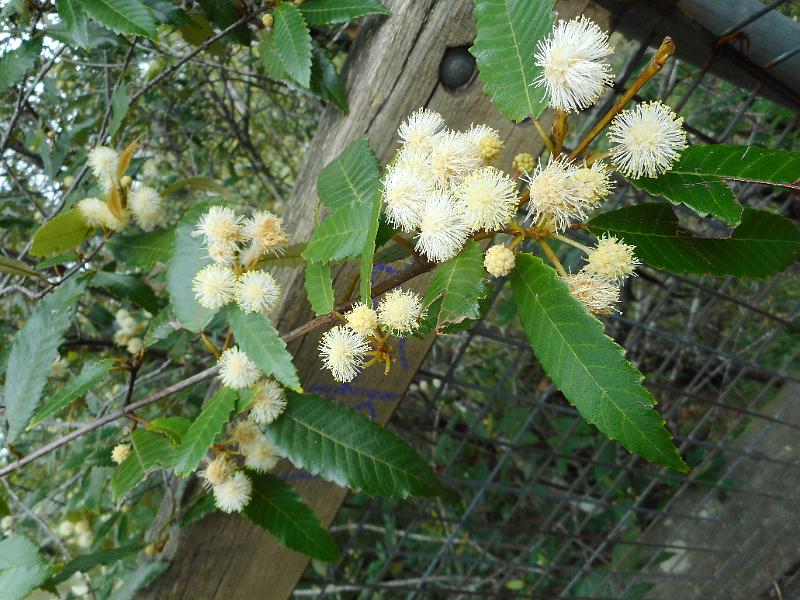 DSCN0337.JPG