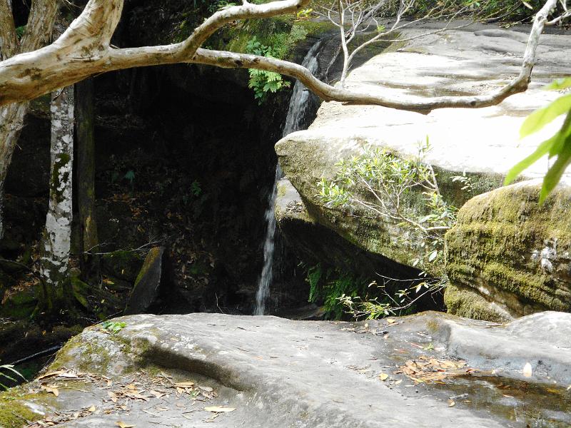 DSCN0343.JPG