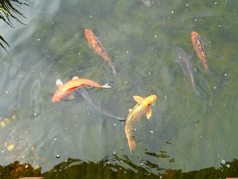DSCN0345.JPG