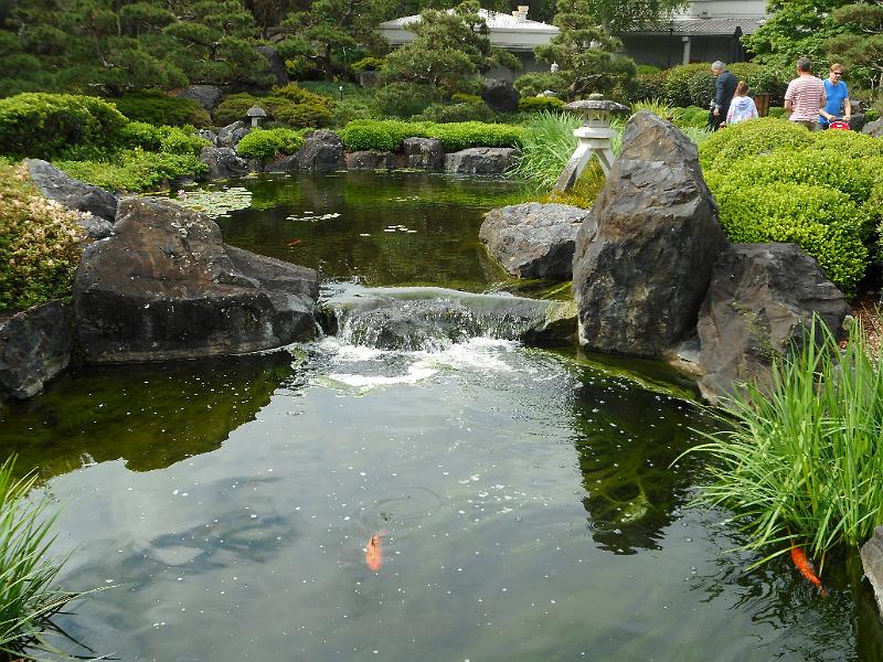 DSCN0346.JPG