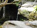 DSCN0343
