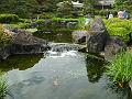 DSCN0346