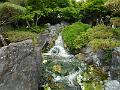 DSCN0354