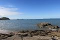 IMG_1139
