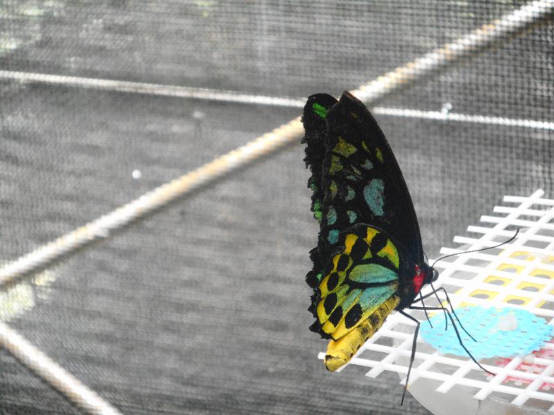 DSCN0422.JPG