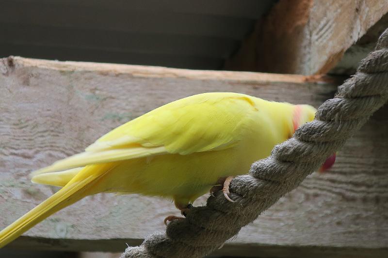 IMG_1250.JPG