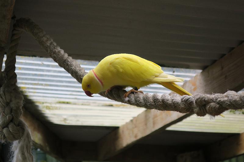 IMG_1253.JPG