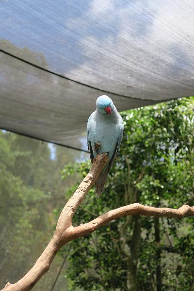 IMG_1259.JPG