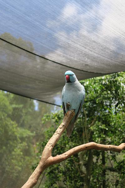 IMG_1260.JPG