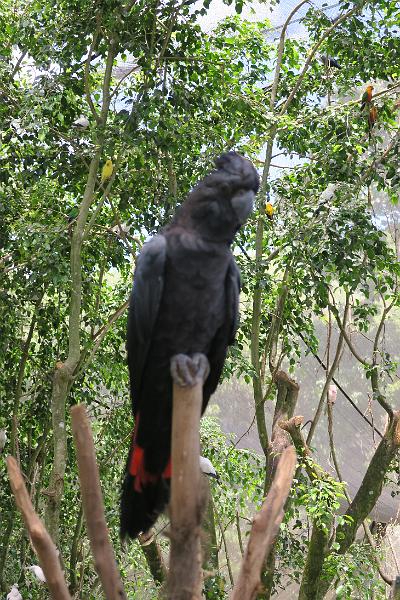 IMG_1350.JPG