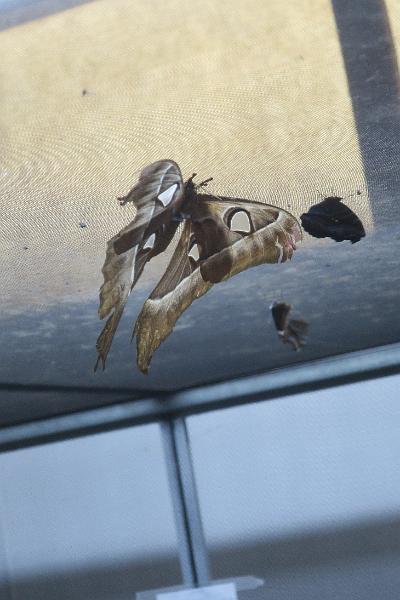 IMG_1392.JPG