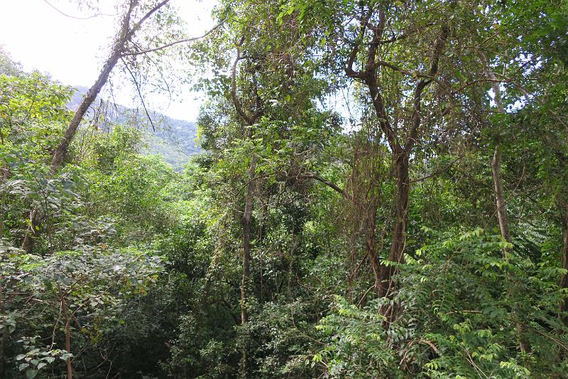 IMG_1530.JPG