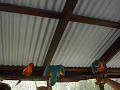 DSCN0416