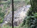 IMG_0715