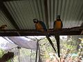 IMG_0725