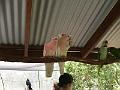 IMG_0726