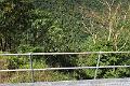 IMG_1481