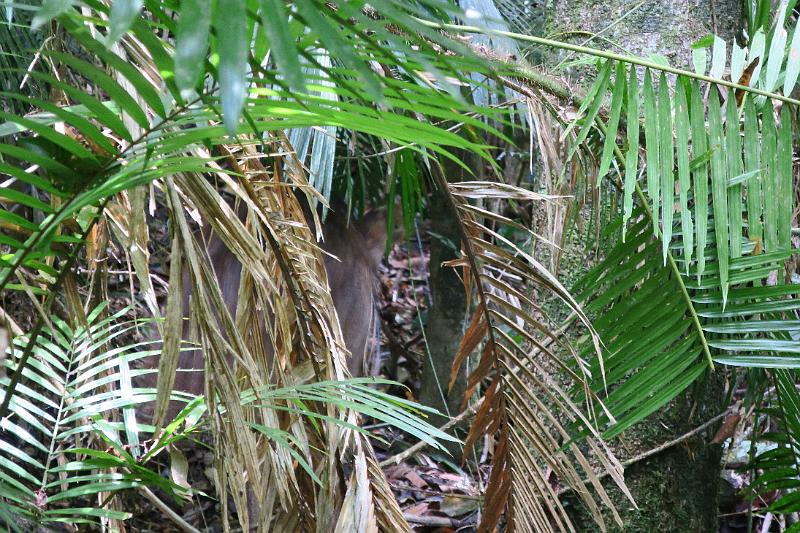 IMG_1612.JPG