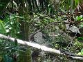 DSCN0466