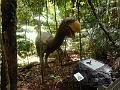 DSCN0467