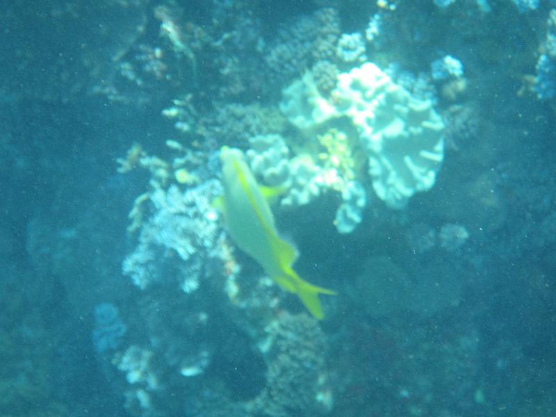 IMG_2977.JPG