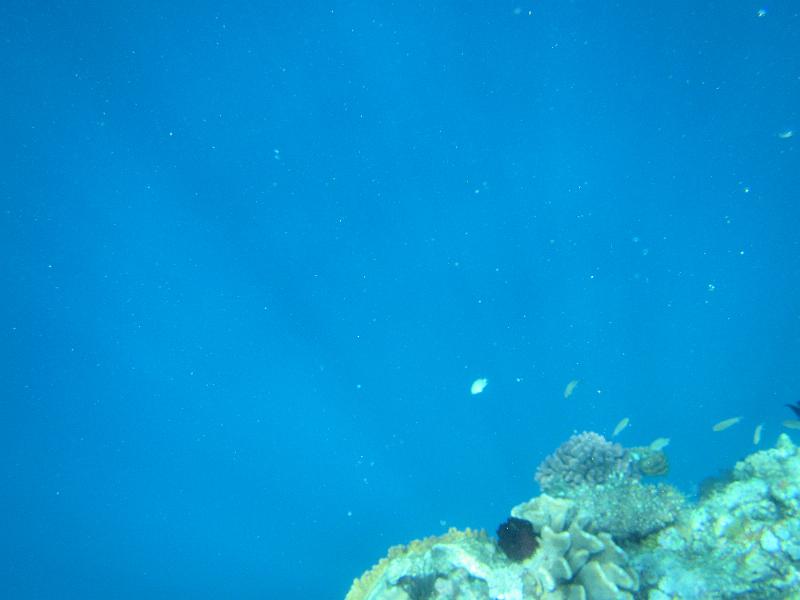 IMG_2979.JPG