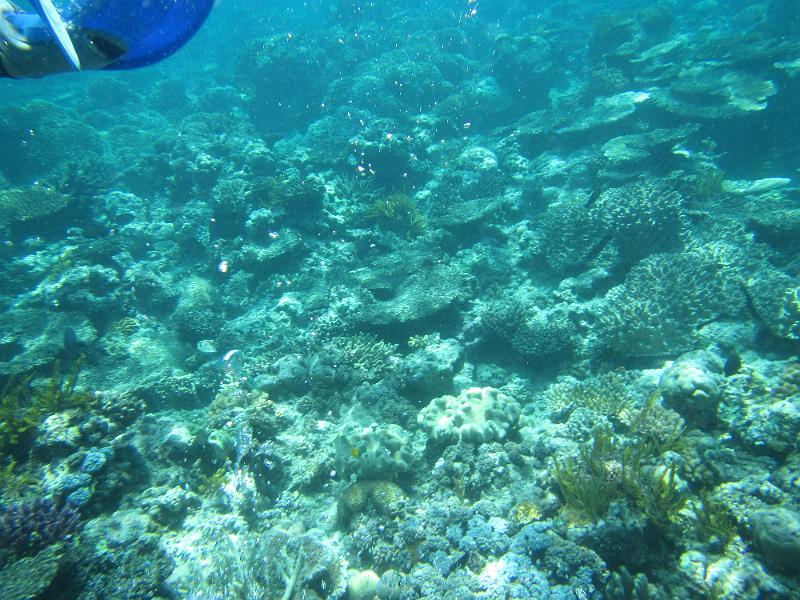 IMG_2983.JPG