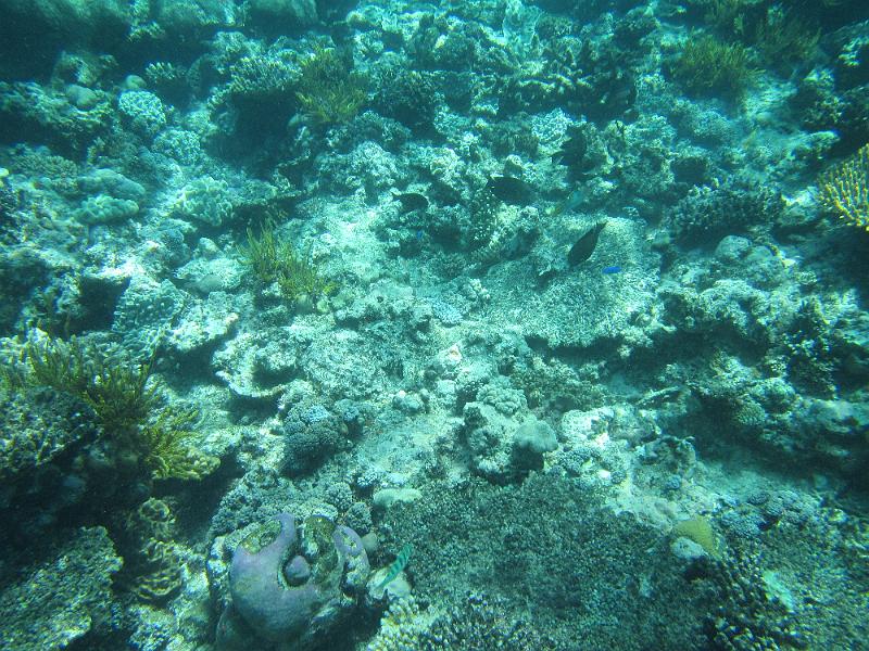 IMG_2985.JPG