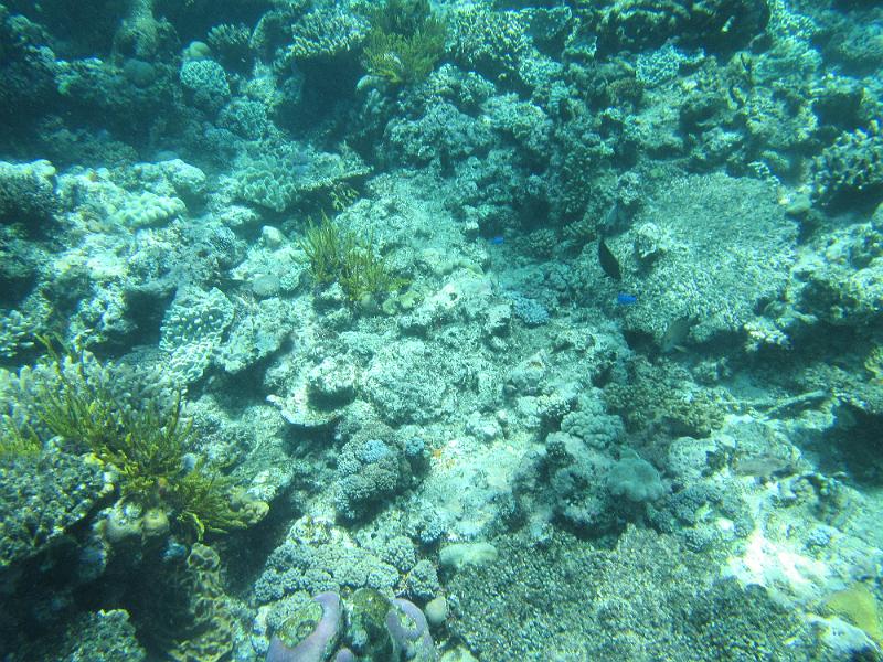 IMG_2986.JPG