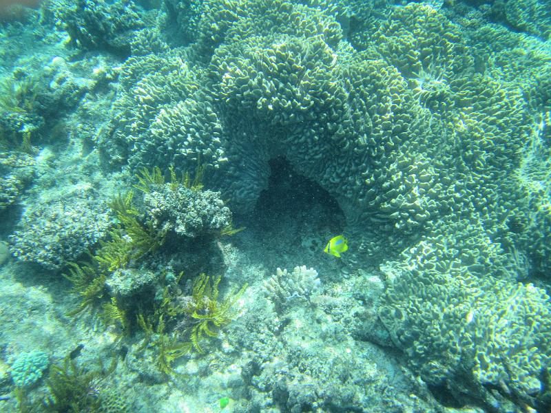 IMG_2987.JPG