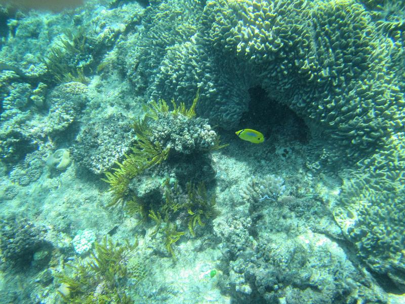 IMG_2988.JPG