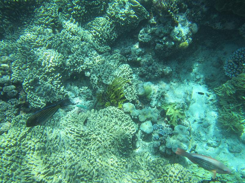 IMG_2991.JPG