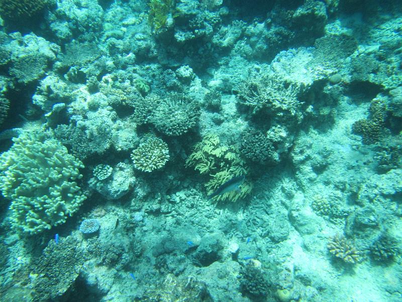 IMG_2994.JPG
