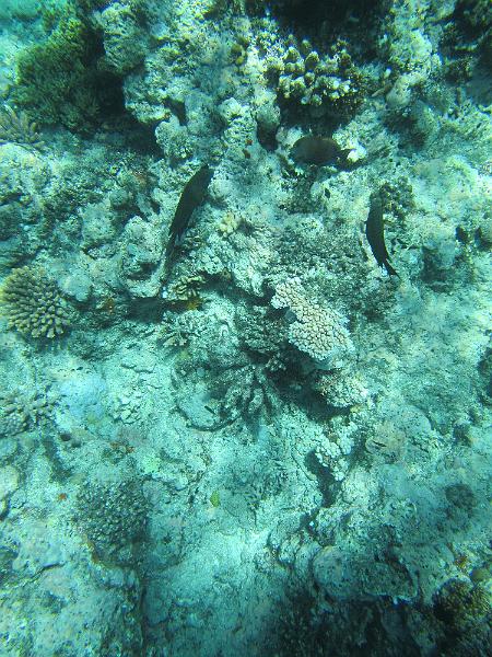IMG_2999.JPG