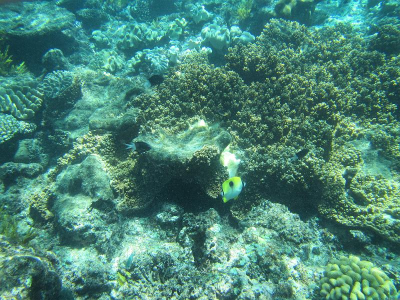 IMG_3005.JPG
