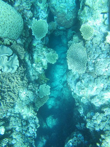 IMG_3007.JPG
