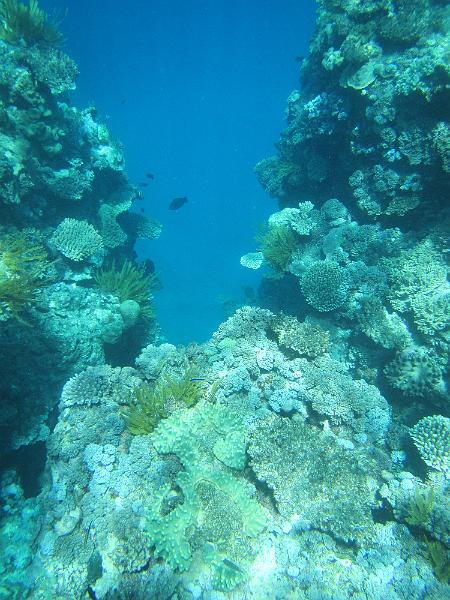IMG_3008.JPG