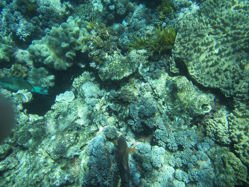 IMG_3012.JPG