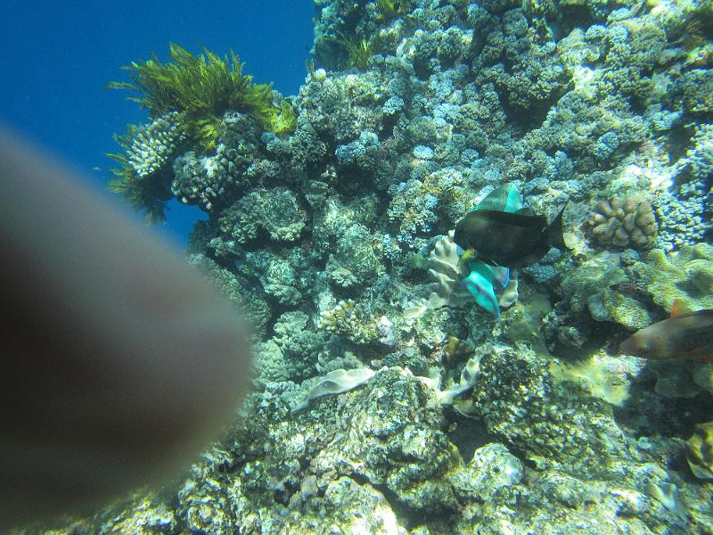 IMG_3013.JPG