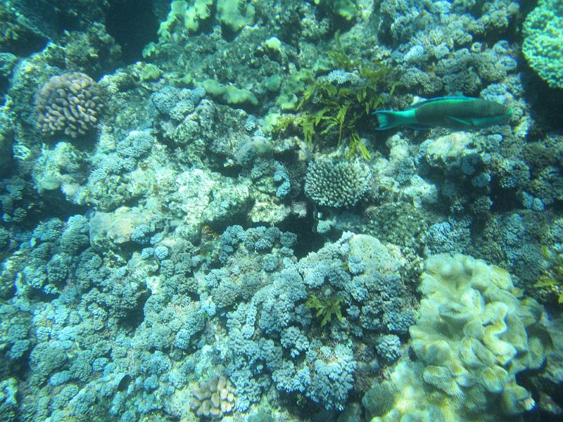 IMG_3014.JPG